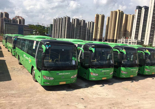 Aktueller Firmenfall über Mehr als 150 chinesische Stadtbusse wurden nach Kasachstan exportiert
